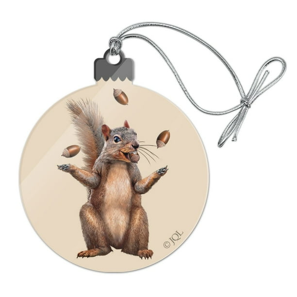 GRAPHICS & MORE Squirrel Eating in Winter Acrylic Christmas Tree Holiday Ornament GRAPHICS & MORE Squirrel Eating in Winter Acrylic Christmas Tree Holiday Ornament